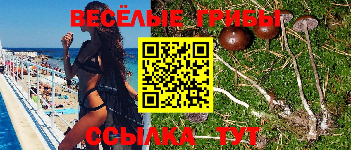 Галлюциногенные грибы Magic Shrooms  Вход с VPN  Псилоцибиновые грибы Magic Shrooms  Верхняя Пышма 