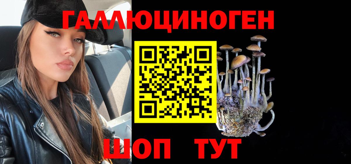 Псилоцибиновые грибы Magic Shrooms Верхняя Пышма
